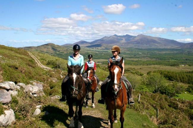 Tatler Jack Bed & Breakfast Killarney Eksteriør bilde